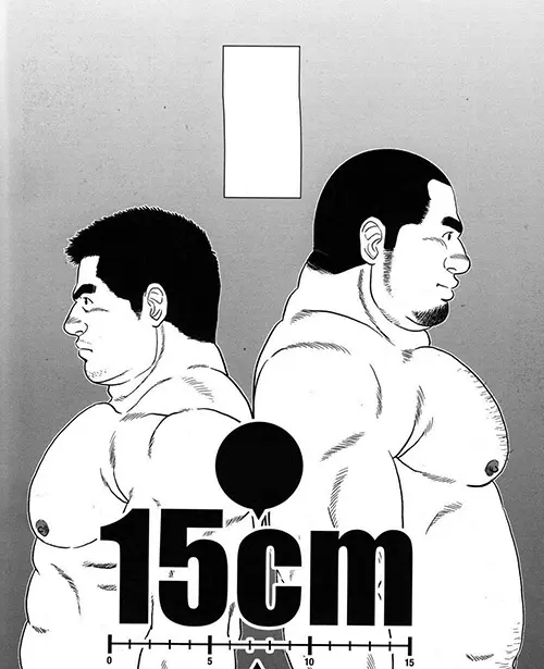 15CM