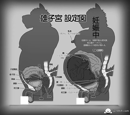 野性秘境3 兽漫 第5张图